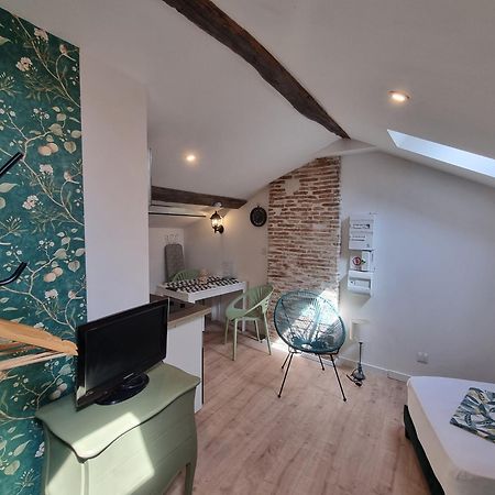 Le Studio Du Docteur Privey - Free & Secure Park Bike Tournus Exterior foto